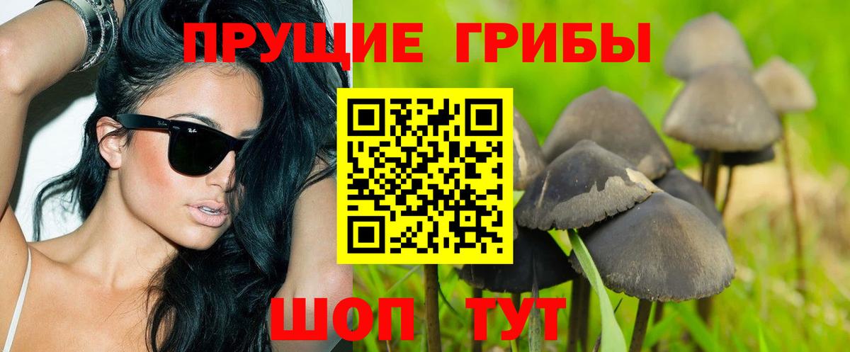 Галлюциногенные грибы Psilocybe  Вход с VPN  цена наркотик  Псилоцибиновые грибы Cubensis  Подольск 