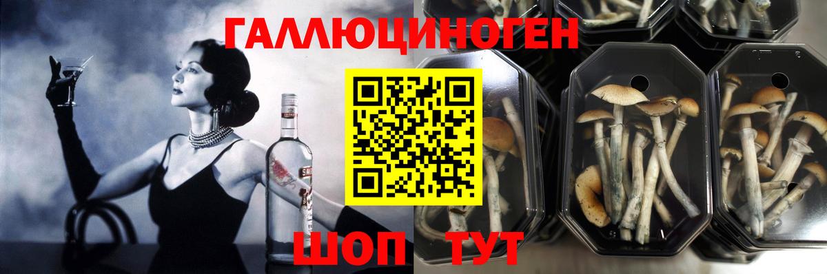 Псилоцибиновые грибы ЛСД Подольск